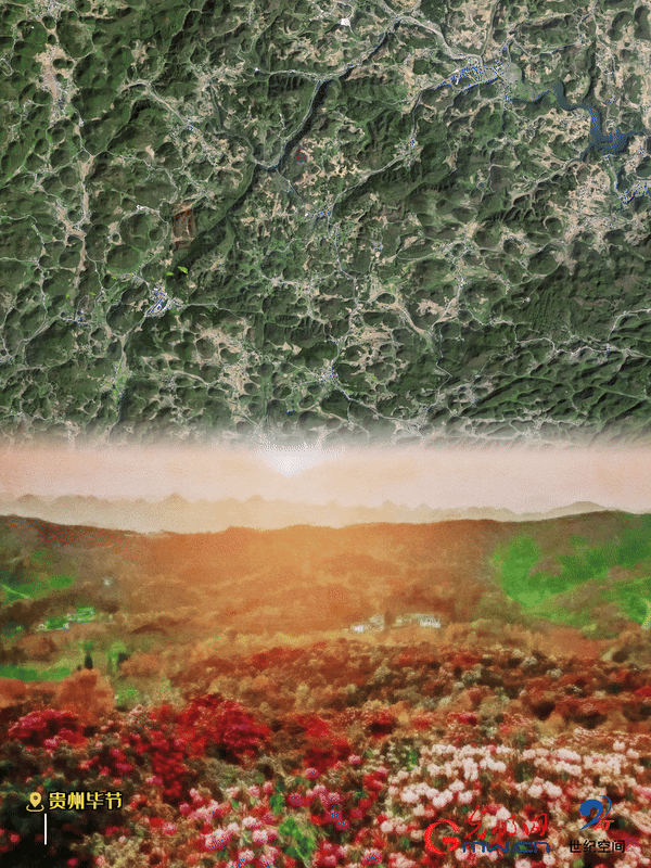 清明游玩賞花圖鑒來了！衛(wèi)星鏡頭帶你先睹為快