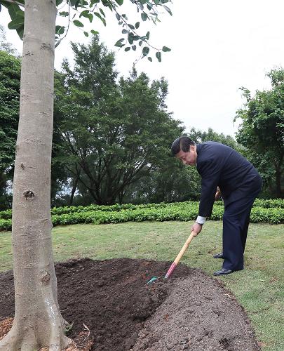 2012年12月7日至11日，習(xí)近平在廣東省考察工作。這是8日上午，習(xí)近平在深圳蓮花山公園種下一棵高山榕樹。新華社記者 蘭紅光 攝