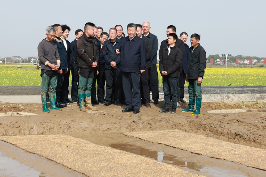 2024年3月18日至21日，中共中央總書記、國家主席、中央軍委主席習(xí)近平在湖南考察。這是19日下午，習(xí)近平在常德市鼎城區(qū)謝家鋪鎮(zhèn)港中坪村走進田間，察看秧苗培育和春耕備耕進展。新華社記者 王曄 攝